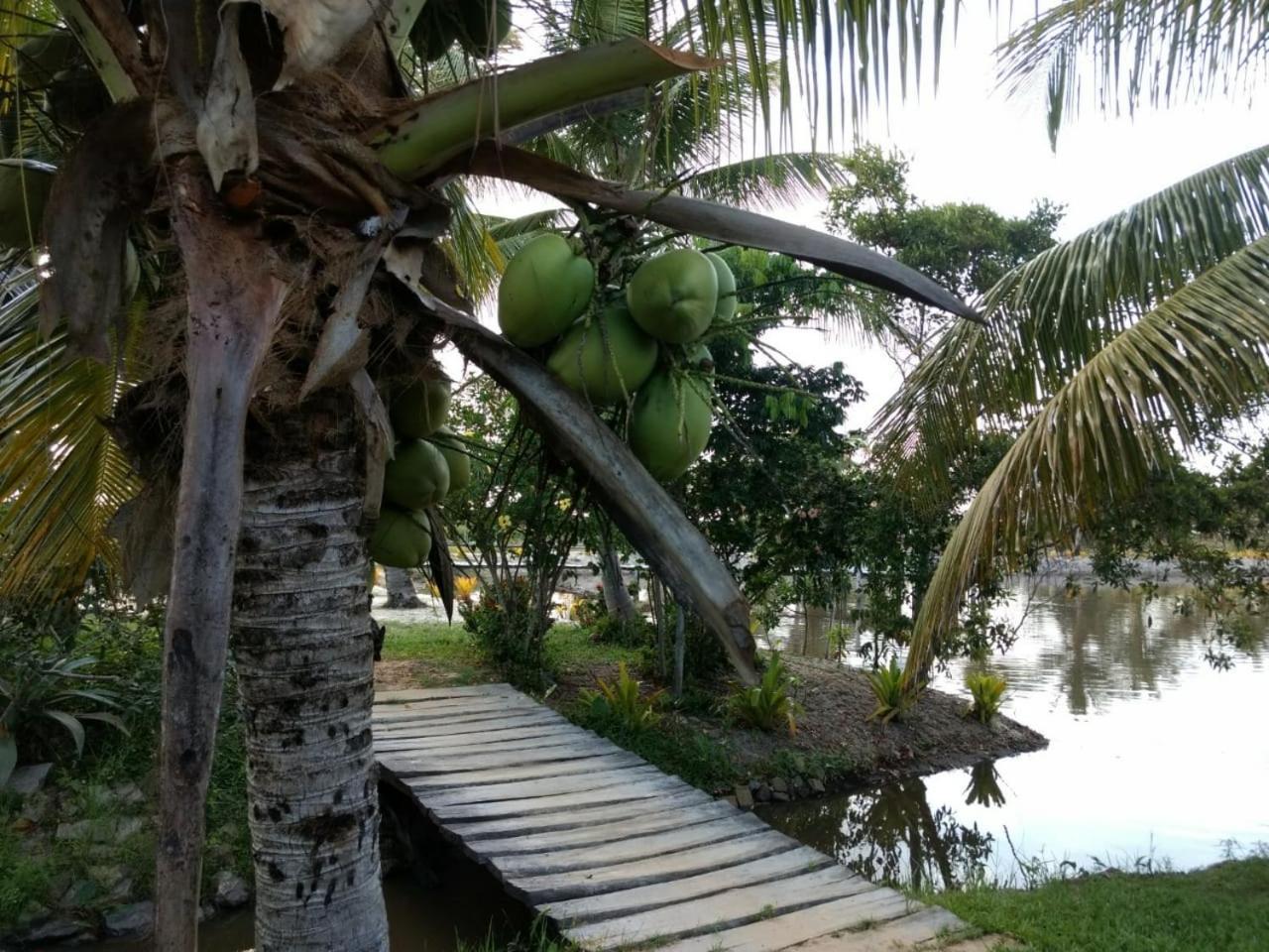 Residencial Lagoa Da Praia Alcobaça Exteriér fotografie